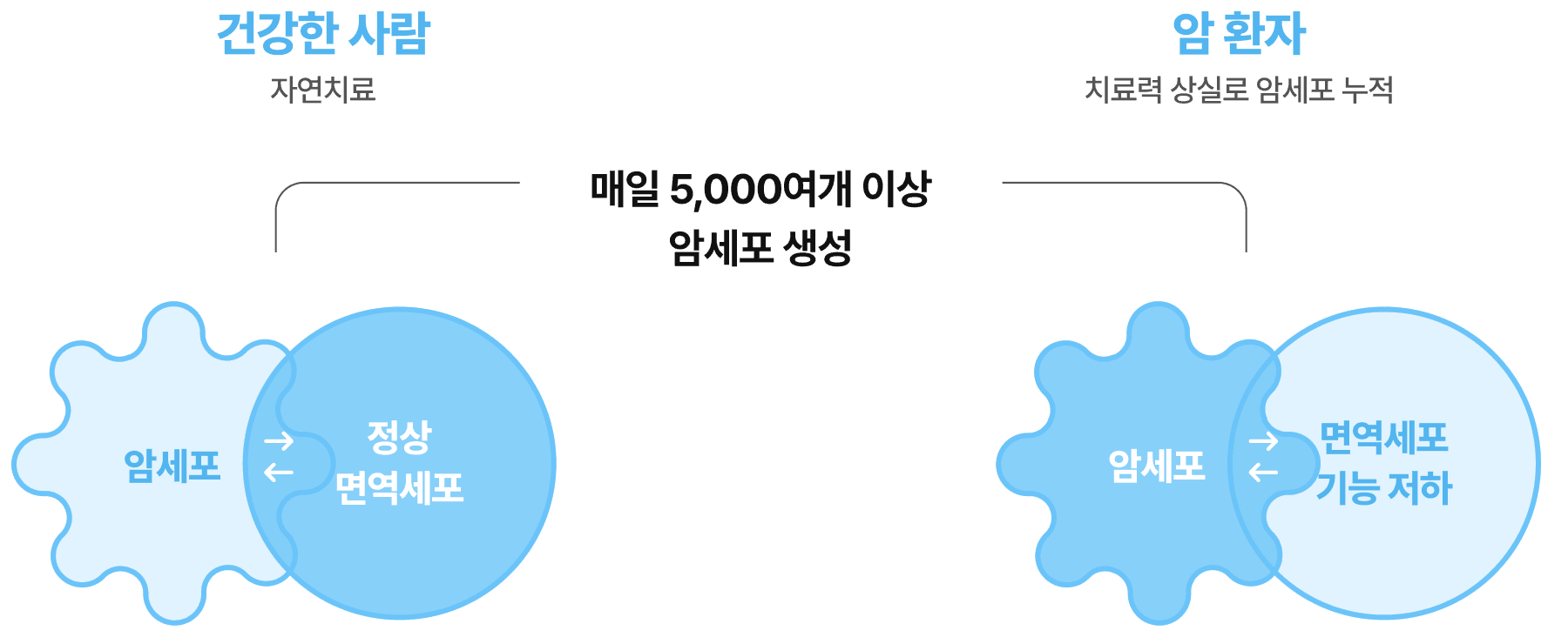 줄기세포치료 소개 이미지
